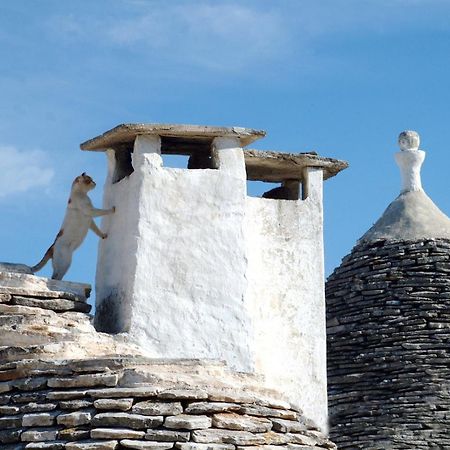 B&B Corso Trieste E Trento Alberobello Zewnętrze zdjęcie