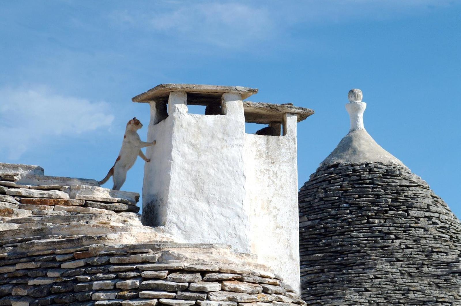 B&B Corso Trieste E Trento Alberobello Zewnętrze zdjęcie